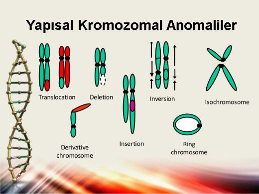 15 Kromozom Hastalıkları