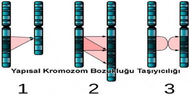 9 Kromozom Bozukluğu